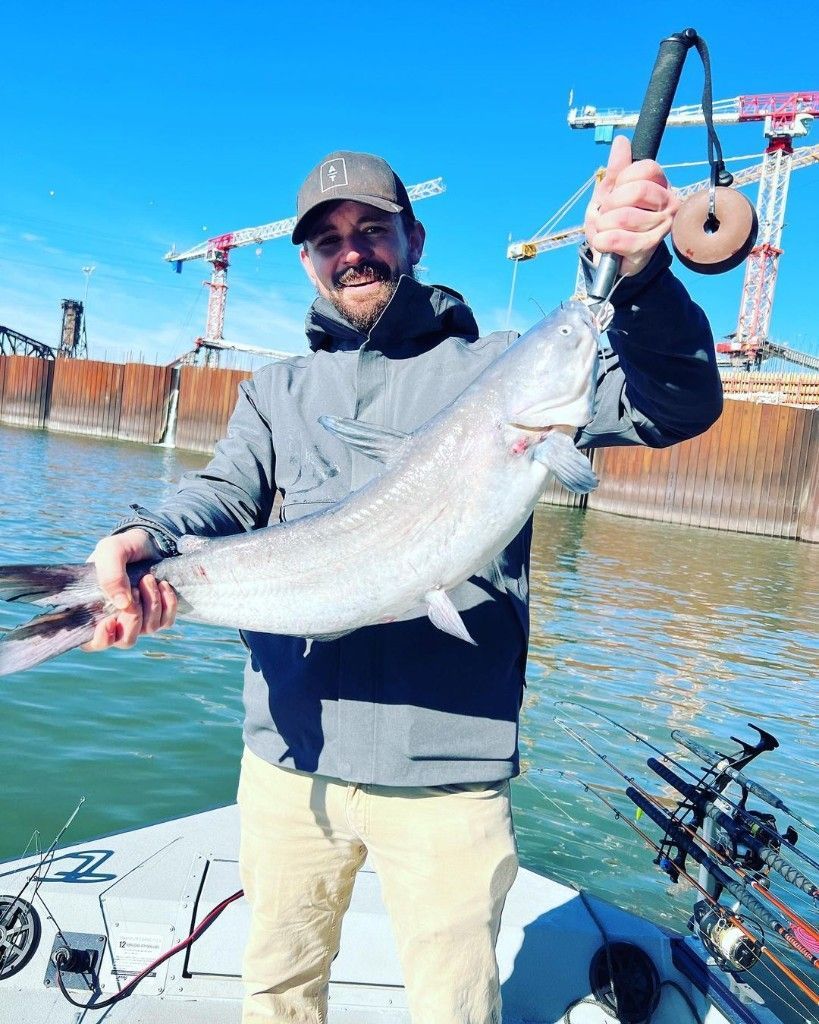 Trophy Catfish are here! - Tennessee Fishing Report